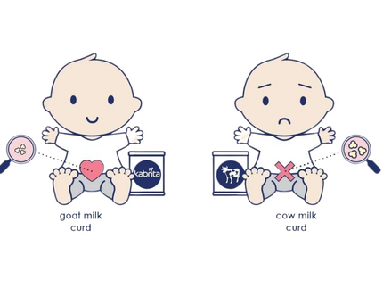 Goat's Milk vs. Cow's Milk Digestion: How long does it take to digest milk?