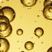 fat molecules