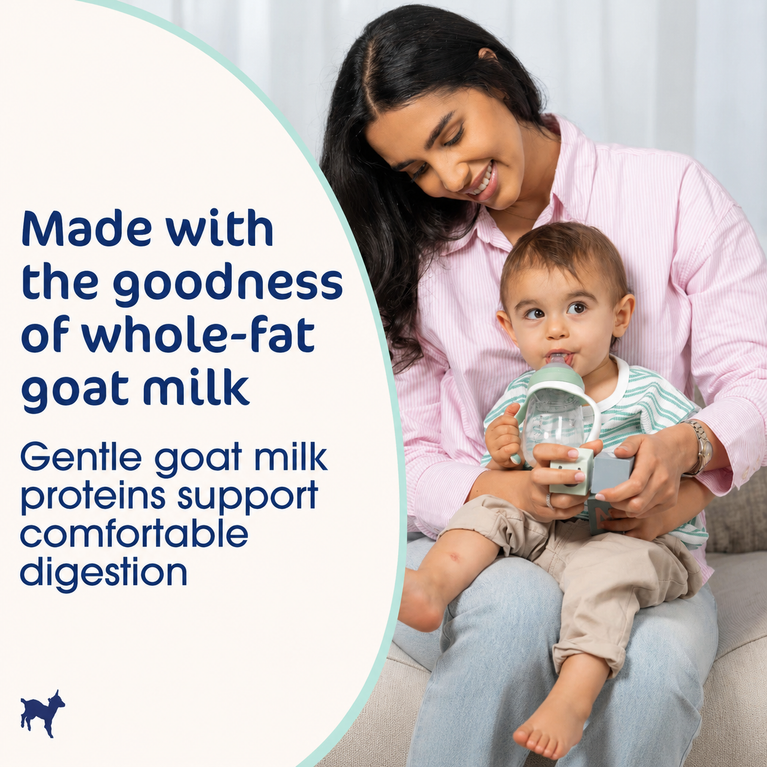 Kabrita 3 400g Toddler Milk